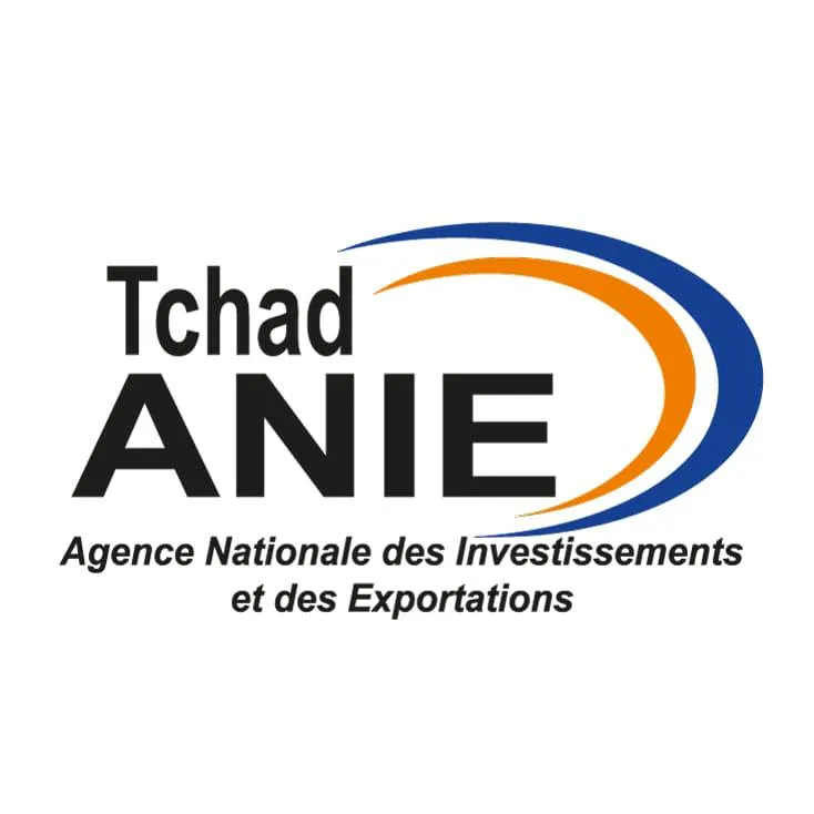 Logo Agence Nationale d'Investissement et d'Exportation (ANIE]