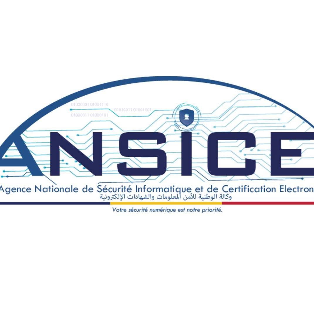 Logo ANSICE