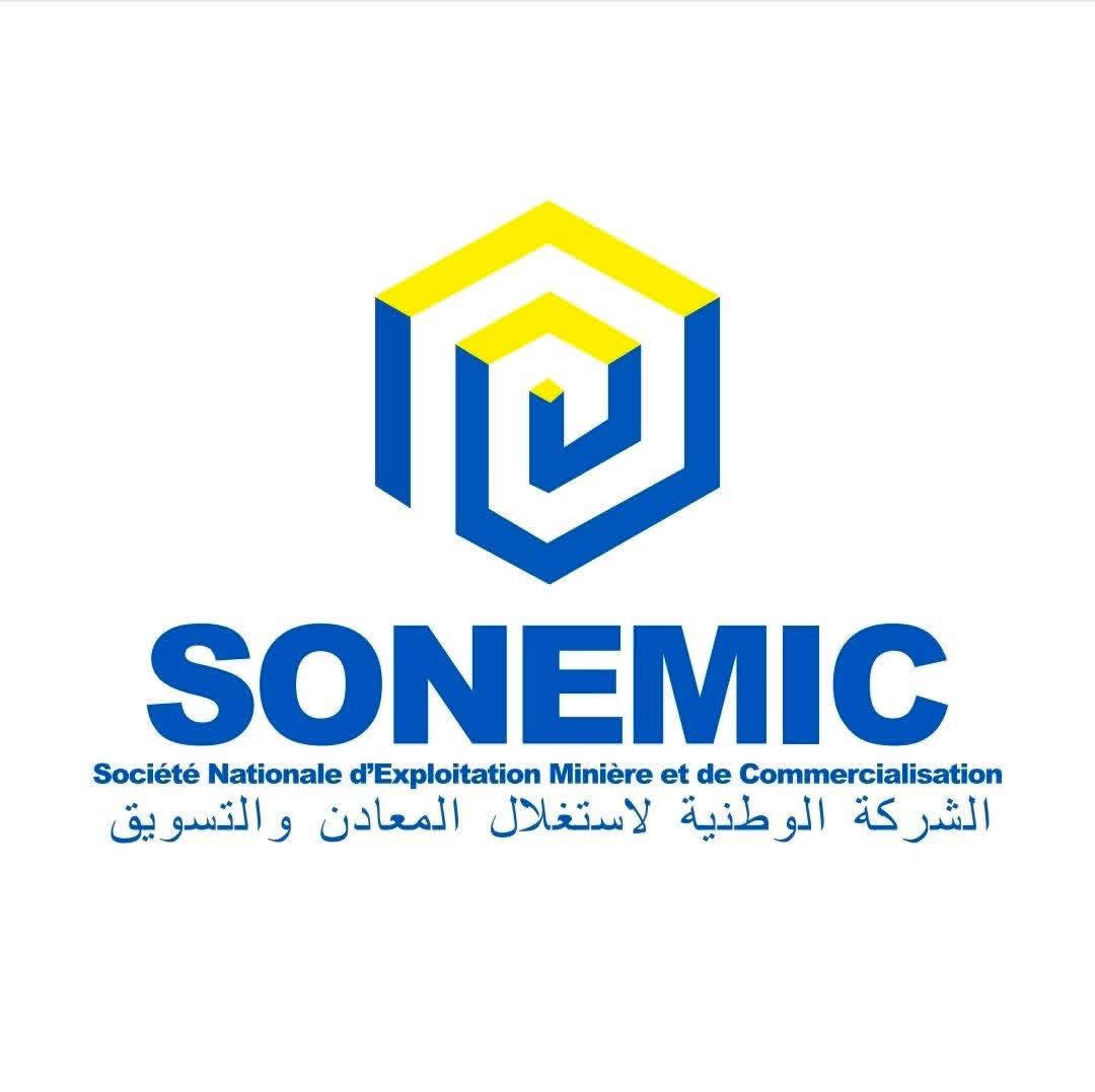 Logo Sonemic